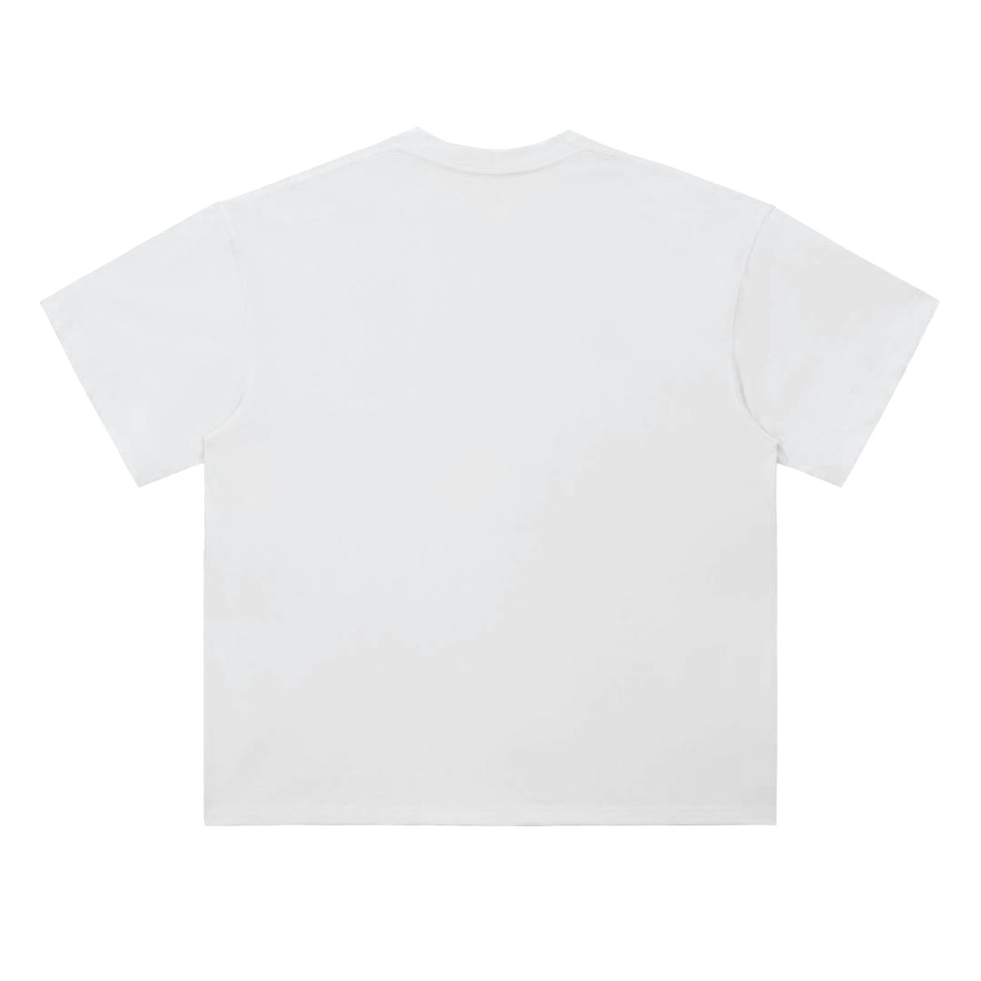 Sweat Heavyweight T-Shirt [White]